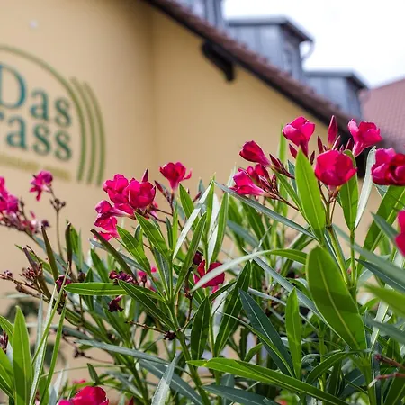 Crass 3* Nieder-Olm (Rhineland-Palatinate)